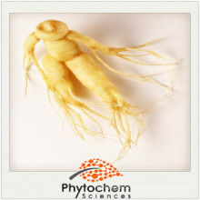 Korea red ginseng extract powder drink extracted from raw ginseng